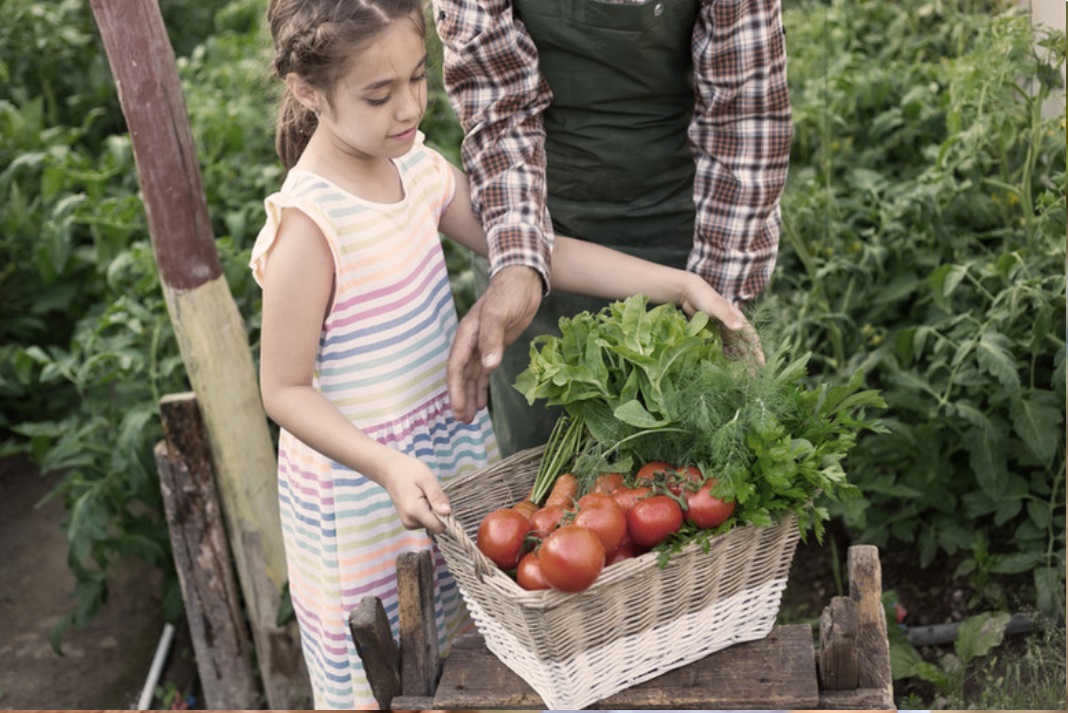 Rancho de las Estrellas — Community Life